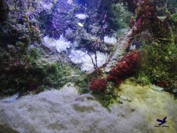 Haus des Meeres 4.02.2026